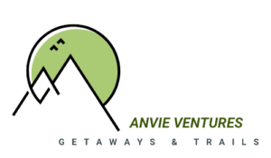 Anvie Ventures