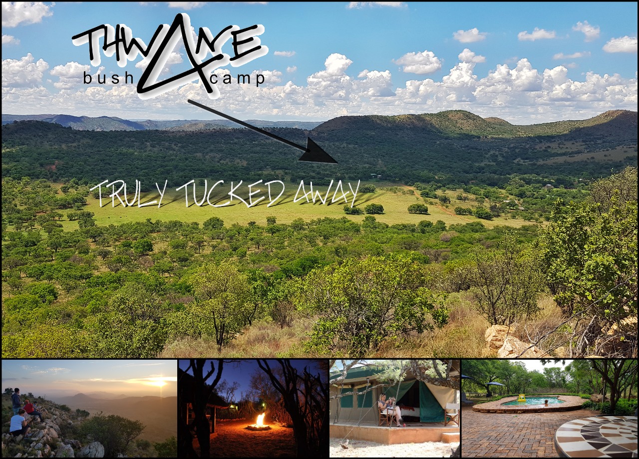 THEANE BUSH C & TRAILS